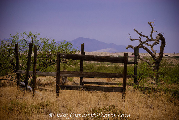Mescal Arizona