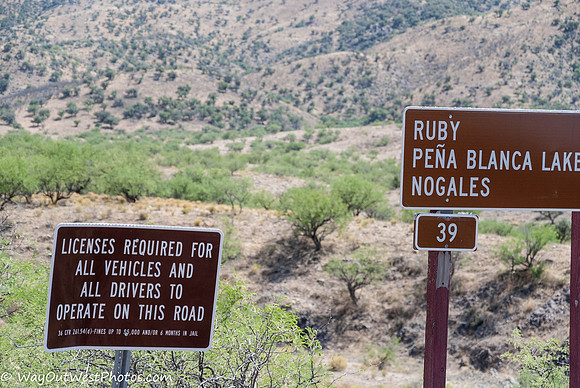 Ruby AZ